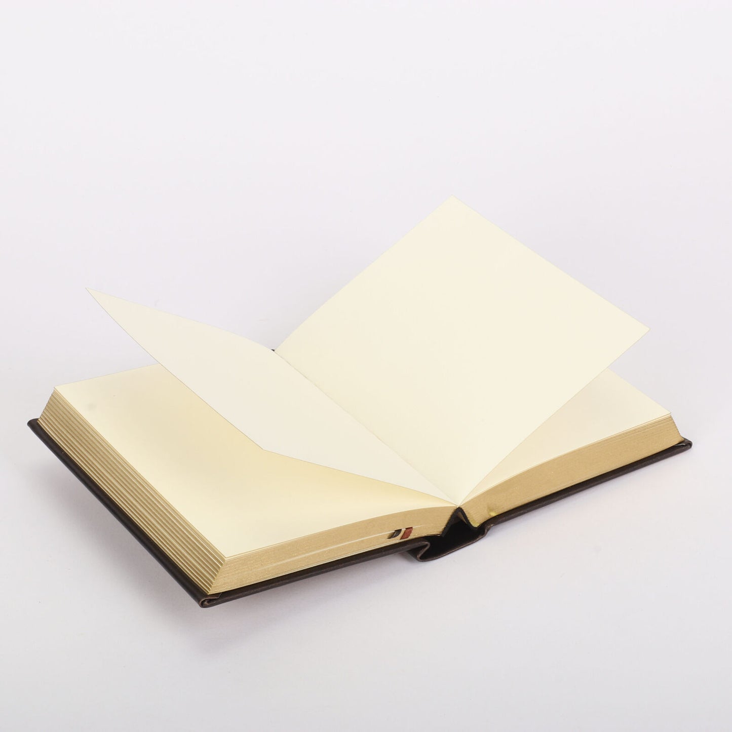Embossed Leather Bronze Hard Cover Notebook