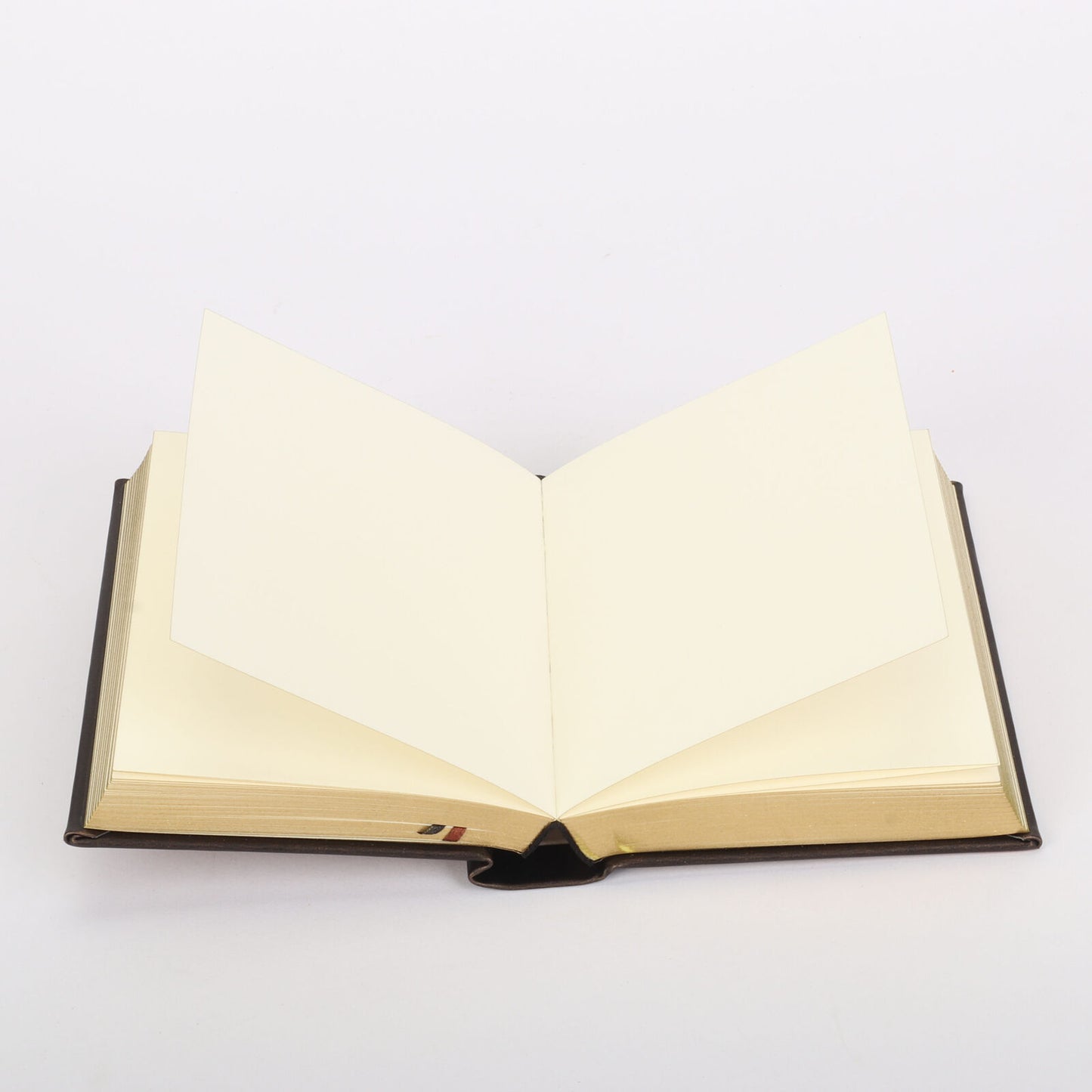 Embossed Leather Bronze Hard Cover Notebook