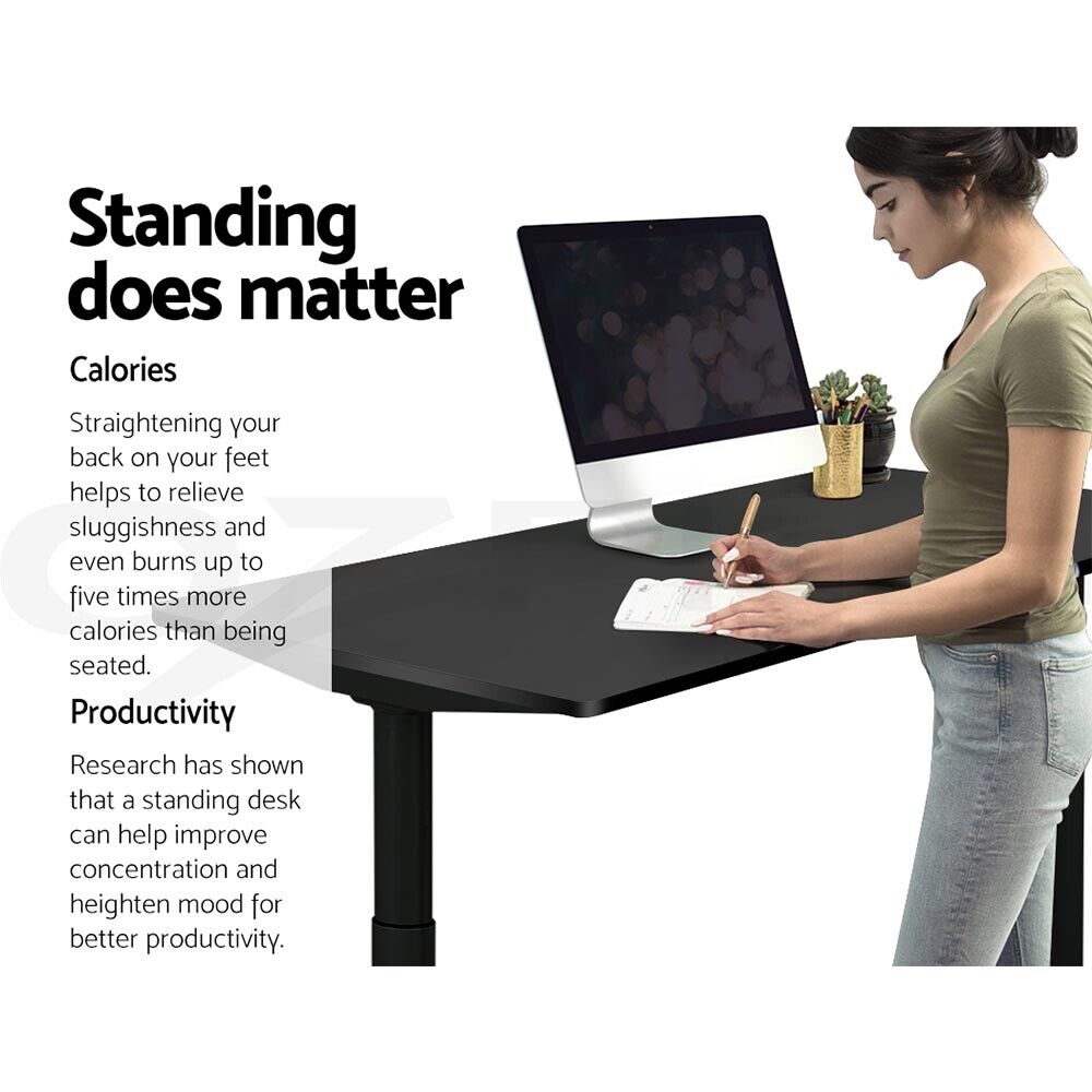 Artiss Electric Sit Stand Desk Black 120cm